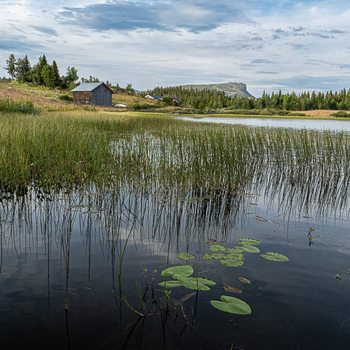 Sommer på Skei