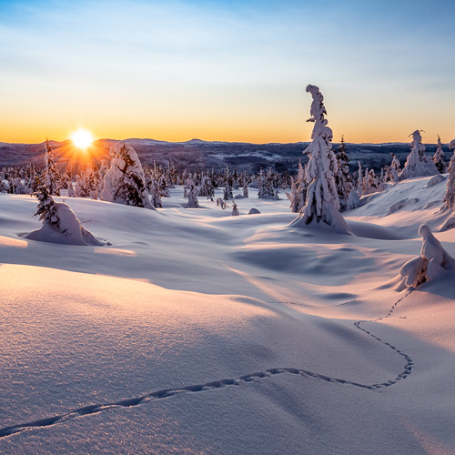 Vinter på Skei